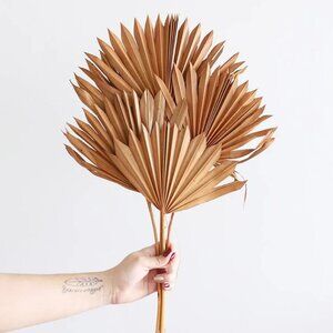 Bundle of 5 Afloral Terracotta Sun Palms - 14-20"